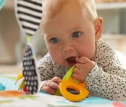 Tiny Love Babygym Sunny Day - Meadow Days -Babygyms || hobbelfiguren || vormenstoven Winkel 550x211 6