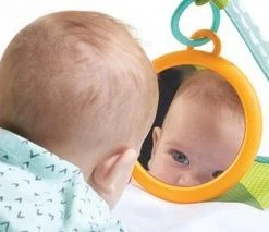 Tiny Love Babygym Sunny Day - Meadow Days -Babygyms || hobbelfiguren || vormenstoven Winkel 550x213