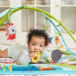 Tiny Love Babygym Sunny Day - Meadow Days -Babygyms || hobbelfiguren || vormenstoven Winkel 550x245