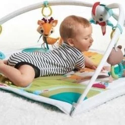 Tiny Love Deluxe Babygym - Into The Forest - In Het Bos -Babygyms || hobbelfiguren || vormenstoven Winkel 550x282