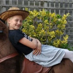 MY PONY, Rijdend Speelgoed Paard Van ROLLZONE ®, 8+ Jaar (MP2009-L) | MY PONY Hobbelpaard -Babygyms || hobbelfiguren || vormenstoven Winkel 550x310 3