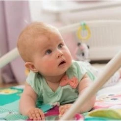 Tiny Love Deluxe Babygym - Princess Tales - Roze -Babygyms || hobbelfiguren || vormenstoven Winkel 550x311 5