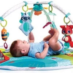 Tiny Love Dynamic Babygym - Meadow Days -Babygyms || hobbelfiguren || vormenstoven Winkel 550x321 1