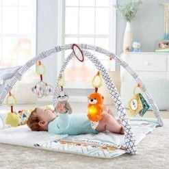 Fisher-Price Baby Gym - Speelmat Met 21 Zintuigelijke Ontdekkingsspeeltjes -Babygyms || hobbelfiguren || vormenstoven Winkel 550x323