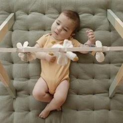 Little Dutch Babygym -Babygyms || hobbelfiguren || vormenstoven Winkel 550x366 5