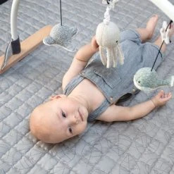 Flow Amsterdam - Baby Gym Ocean - Belletje - Trilknuffel - Melodietje -Babygyms || hobbelfiguren || vormenstoven Winkel 550x366 62