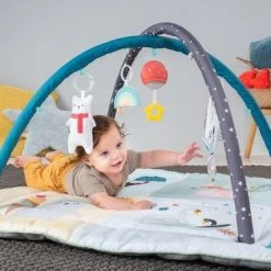 Taf Toys Baby-gym North Pole 4 Season Junior 100 X 100 X 50 Cm -Babygyms || hobbelfiguren || vormenstoven Winkel 550x367 10
