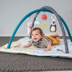 Taf Toys Baby-gym North Pole 4 Season Junior 100 X 100 X 50 Cm -Babygyms || hobbelfiguren || vormenstoven Winkel 550x367 11