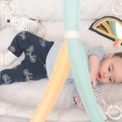 Taf Toys Babynestje En Babygym In 2 In 1 Met Afneembare Bogen En Speeltjes - Met Licht En Afneembaar Muziekdoosje -Babygyms || hobbelfiguren || vormenstoven Winkel 550x367 6