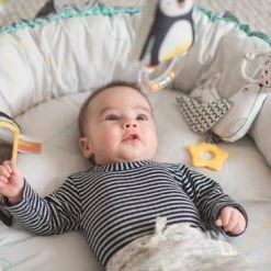 Taf Toys Babynestje En Babygym In 2 In 1 Met Afneembare Bogen En Speeltjes - Met Licht En Afneembaar Muziekdoosje -Babygyms || hobbelfiguren || vormenstoven Winkel 550x367 7