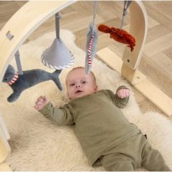 Tryco Houten Babygym TR-303011 -Babygyms || hobbelfiguren || vormenstoven Winkel 550x368 3