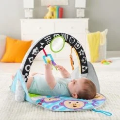 Fisher-Price 2-in-1 Activity Gym -Babygyms || hobbelfiguren || vormenstoven Winkel 550x374 8