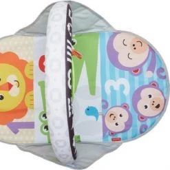 Fisher-Price 2-in-1 Activity Gym -Babygyms || hobbelfiguren || vormenstoven Winkel 550x386 7
