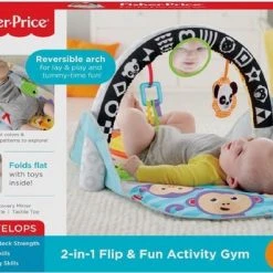 Fisher-Price 2-in-1 Activity Gym -Babygyms || hobbelfiguren || vormenstoven Winkel 550x396 7