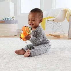 Fisher-Price Baby Gym - Speelmat Met 21 Zintuigelijke Ontdekkingsspeeltjes -Babygyms || hobbelfiguren || vormenstoven Winkel 550x436