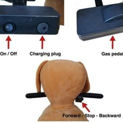 Petride By Rollzone Hond Elektrisch Rijdend Dier -Babygyms || hobbelfiguren || vormenstoven Winkel 550x440 10