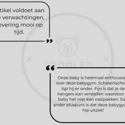 Skodie Babygym - Houten Baby Speelgoed - Handgemaakt - Speelboog - Duurzaam - Vanaf 0 Maanden -Babygyms || hobbelfiguren || vormenstoven Winkel 550x442 2