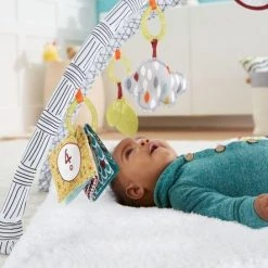 Fisher-Price Baby Gym - Speelmat Met 21 Zintuigelijke Ontdekkingsspeeltjes -Babygyms || hobbelfiguren || vormenstoven Winkel 550x443