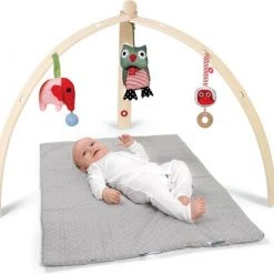 FRANCK & FISCHER - BabySpyder - Babygym - Hout -Babygyms || hobbelfiguren || vormenstoven Winkel 550x481 2