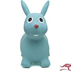 Hippy Skippy - Konijn Aqua Sky -Babygyms || hobbelfiguren || vormenstoven Winkel 550x519 8
