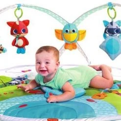 Tiny Love Dynamic Babygym - Meadow Days -Babygyms || hobbelfiguren || vormenstoven Winkel 550x520 2