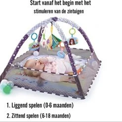 Easy Life Babygym - Speelkleed - Speeltapijt - Baby Speelgoed - Grijs -Babygyms || hobbelfiguren || vormenstoven Winkel 550x527 7