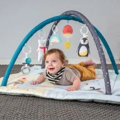 Taf Toys Baby-gym North Pole 4 Season Junior 100 X 100 X 50 Cm -Babygyms || hobbelfiguren || vormenstoven Winkel 550x548 2