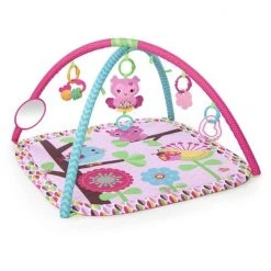 Bright Starts Pink Charming Chirps Activity Gym -Babygyms || hobbelfiguren || vormenstoven Winkel 550x550 135