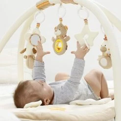 Babygym, Baby Cadeau - Jongen & Meisje, Dierenvriendjes Speelmat, Interactief Speelgoed - Multikleuren.