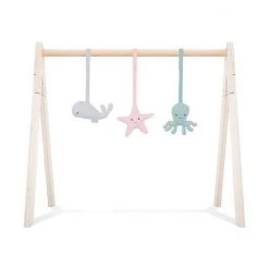 Jollein Speeltjes Set Tiny Waflle - (3 Stuks) Excl. Babygym Multi Colour -Babygyms || hobbelfiguren || vormenstoven Winkel 550x550 287