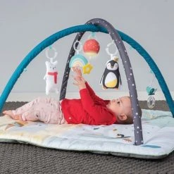 Taf Toys Baby-gym North Pole 4 Season Junior 100 X 100 X 50 Cm -Babygyms || hobbelfiguren || vormenstoven Winkel 550x550 303