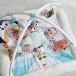 Tiny Love Plush Babygym - Polar Wonders - Noordpool -Babygyms || hobbelfiguren || vormenstoven Winkel 550x550 354