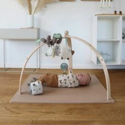 FRANCK & FISCHER - BabySpyder - Babygym - Hout -Babygyms || hobbelfiguren || vormenstoven Winkel 550x550 370