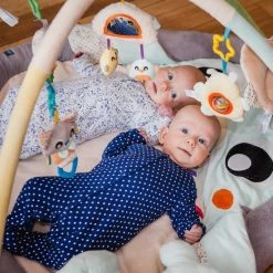 Playgro Snuggle Me Penguin Tummy Time Gym - Babygym Met Buikligkussen - Speelkleed - Speeltapijt -Babygyms || hobbelfiguren || vormenstoven Winkel 550x550 42