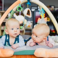 Playgro Snuggle Me Penguin Tummy Time Gym - Babygym Met Buikligkussen - Speelkleed - Speeltapijt -Babygyms || hobbelfiguren || vormenstoven Winkel 550x550 47