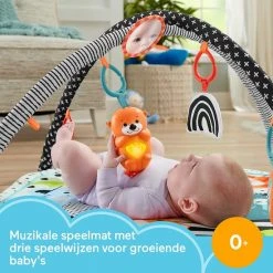 Babygym, Baby Cadeau - Jongen & Meisje, Dierenvriendjes Speelmat, Interactief Speelgoed – Multikleuren -Babygyms || hobbelfiguren || vormenstoven Winkel 550x550 547