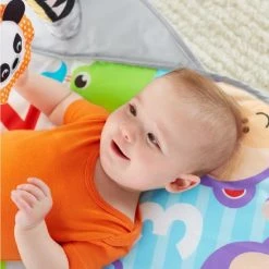 Fisher-Price 2-in-1 Activity Gym -Babygyms || hobbelfiguren || vormenstoven Winkel 550x550 579