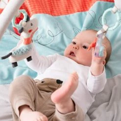 Babygym, Baby Cadeau - Jongen & Meisje, Dierenvriendjes Speelmat, Interactief Speelgoed - Multikleuren. -Babygyms || hobbelfiguren || vormenstoven Winkel 550x550 589