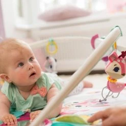 Tiny Love Deluxe Babygym - Princess Tales - Roze -Babygyms || hobbelfiguren || vormenstoven Winkel 550x550 85