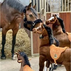 Animal Riding Paard Amadeus Bruin Medium / Large - Rijdend Paardenspeelgoed - Paardenspeelgoed - Speelgoed Vanaf 3 Jaar - Zadelhoogte 68 CM- Verstelbaar Pedaal 3 Standen - Afneembaar Zadel -Babygyms || hobbelfiguren || vormenstoven Winkel 550x669 2