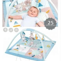 Babygym, Baby Cadeau - Jongen & Meisje, Dierenvriendjes Speelmat, Interactief Speelgoed – Multikleuren -Babygyms || hobbelfiguren || vormenstoven Winkel 550x703