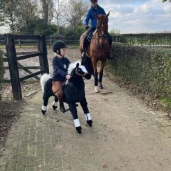 Animal Riding Paard Maharadscha Zwart X-Large - Rijdend Paardenspeelgoed - Paardenspeelgoed - Zadelhoogte 78 CM- Verstelbaar Pedaal 3 Standen - Afneembaar Zadel -Babygyms || hobbelfiguren || vormenstoven Winkel 550x733 8