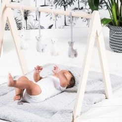 Jollein Babygym Speeltjes - Safari - 4 Stuks -Babygyms || hobbelfiguren || vormenstoven Winkel 550x823 13