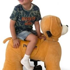 Petride By Rollzone Hond Elektrisch Rijdend Dier -Babygyms || hobbelfiguren || vormenstoven Winkel 550x837